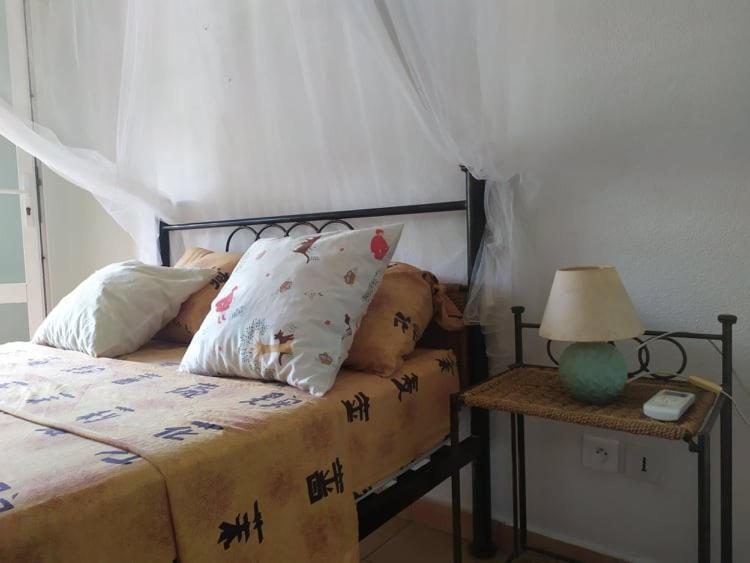 Charmant Appartement En Bord De Mer Avec Piscine Gourbeyre ภายนอก รูปภาพ